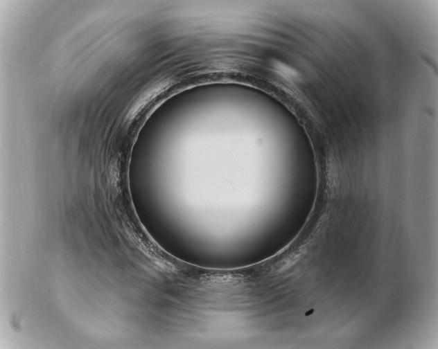 X0000103260826200808291216