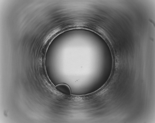 X0000103260827200808291216