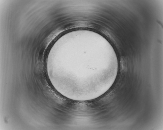 X0000103260828200808291216