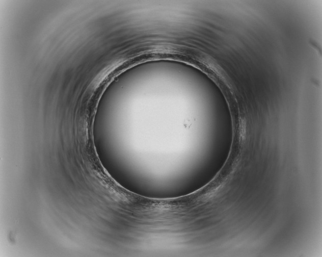 X0000103260829200808291216