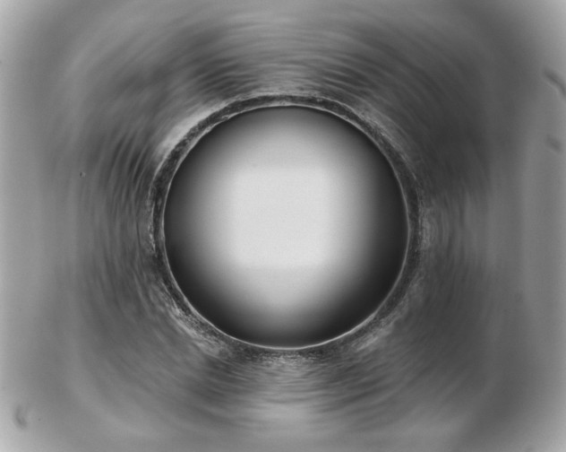 X0000103260830200808291216