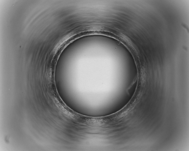 X0000103260831200808291216