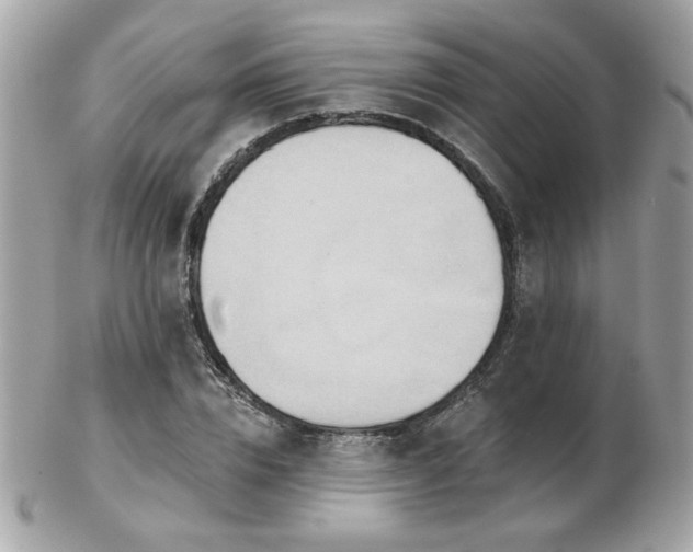 X0000103260832200808291216