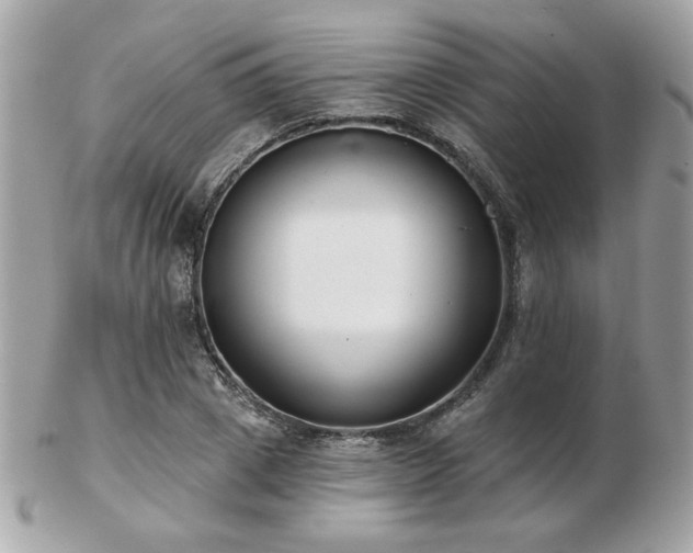 X0000103260833200808291216