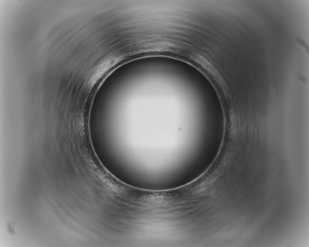 X0000103260834200808291216