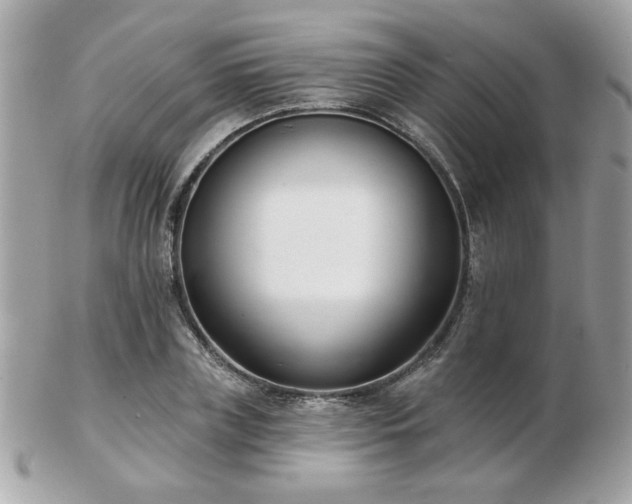 X0000103260835200808291216