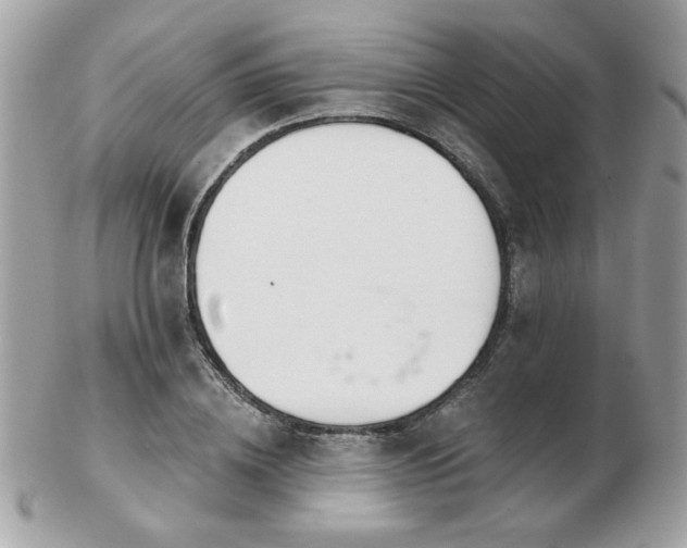 X0000103260836200808291216