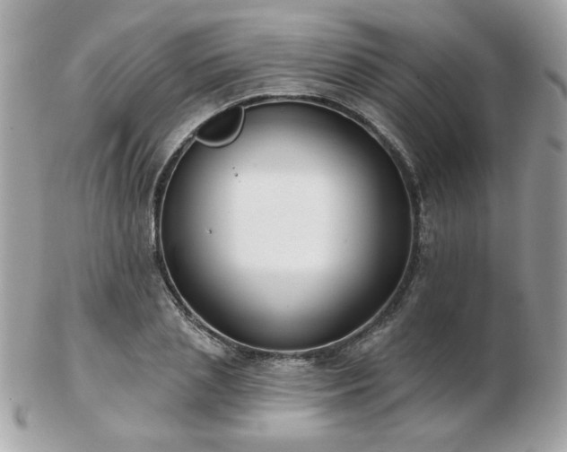 X0000103260837200808291216