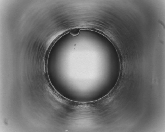 X0000103260838200808291216