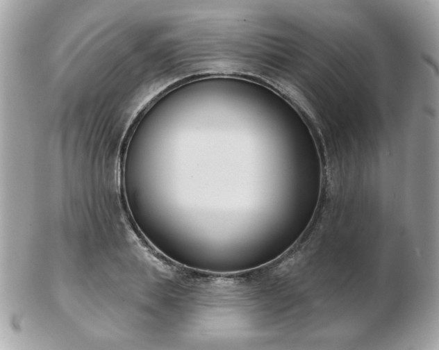 X0000103260839200808291216