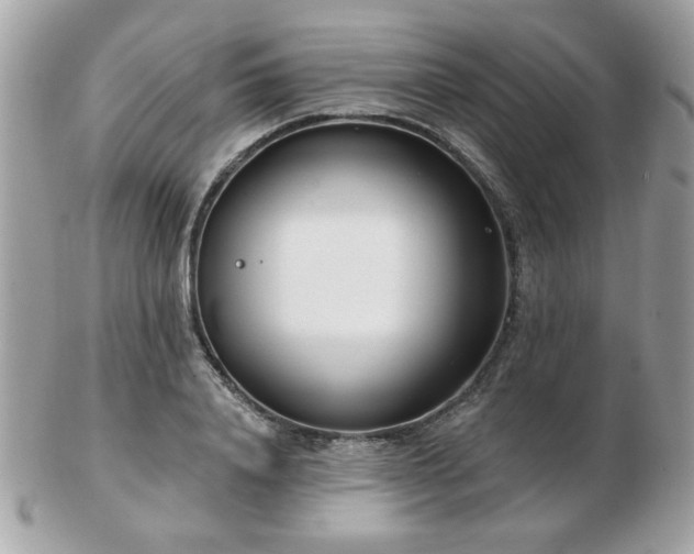 X0000103260840200808291216