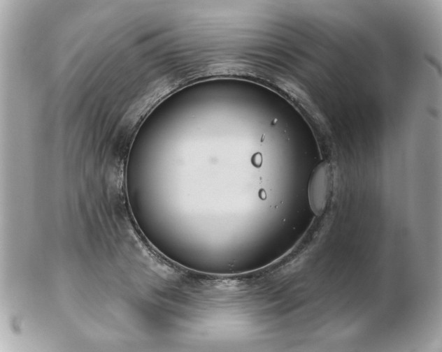 X0000103260841200808291216