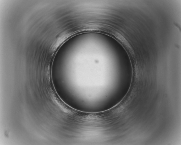 X0000103260842200808291216