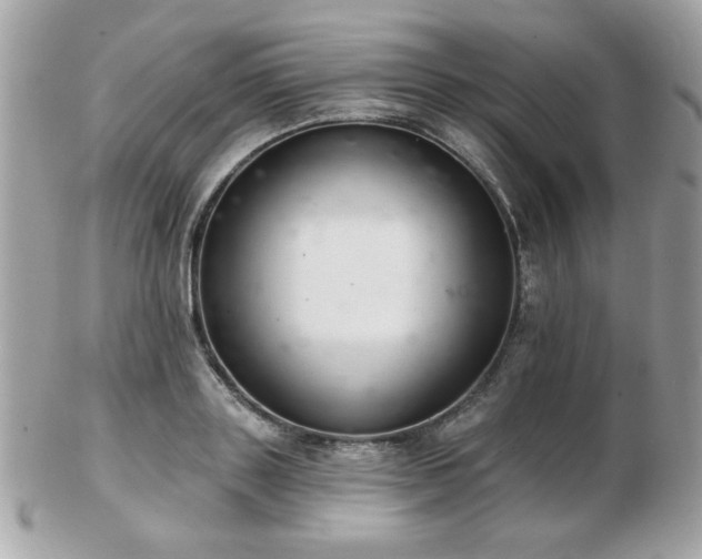 X0000103260843200808291216