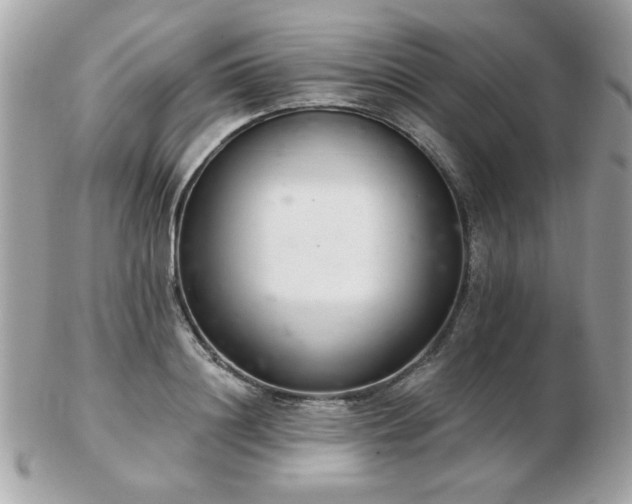 X0000103260844200808291216