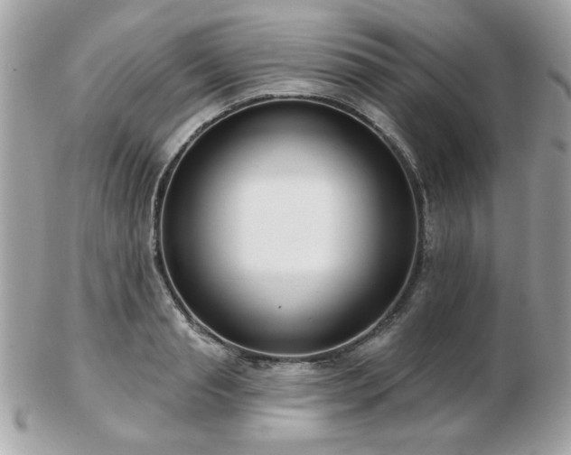 X0000103260845200808291216