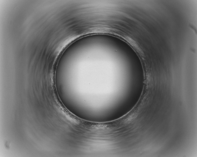 X0000103260846200808291216