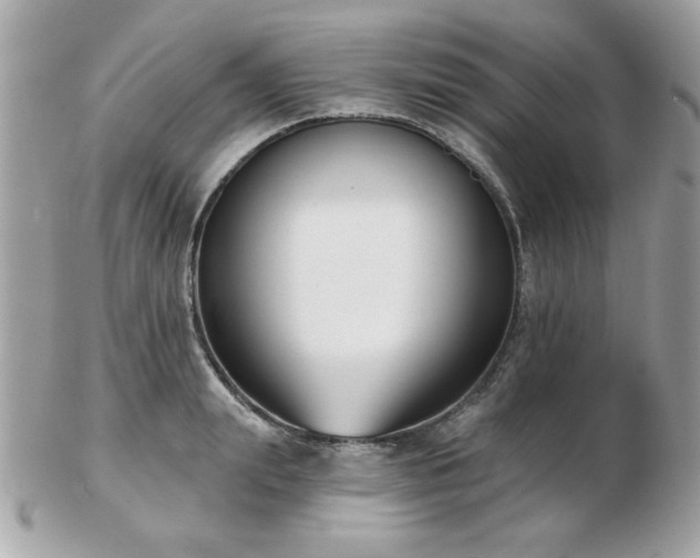 X0000103260847200808291216