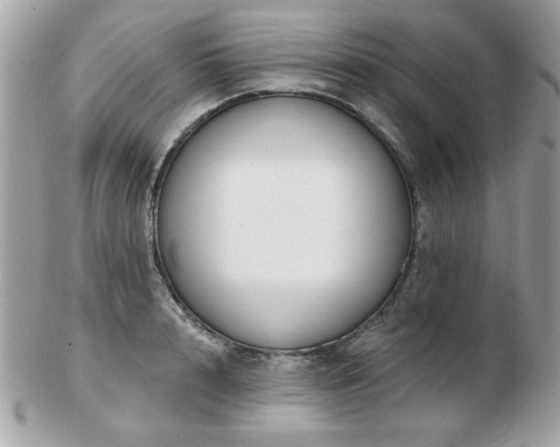 X0000103260848200808291216