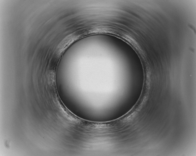 X0000103260849200808291216