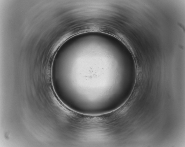 X0000103260851200808291216