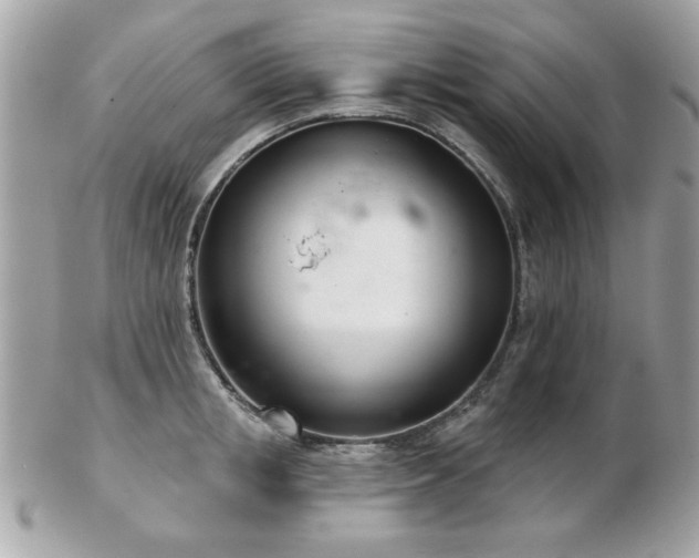 X0000103260853200808291216