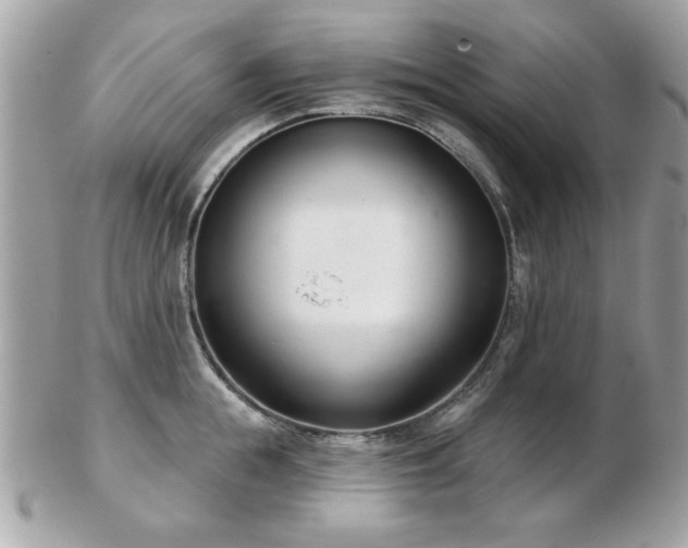 X0000103260855200808291216