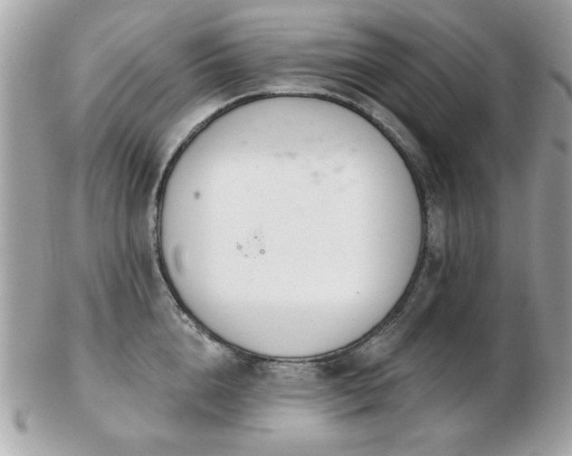 X0000103260856200808291216