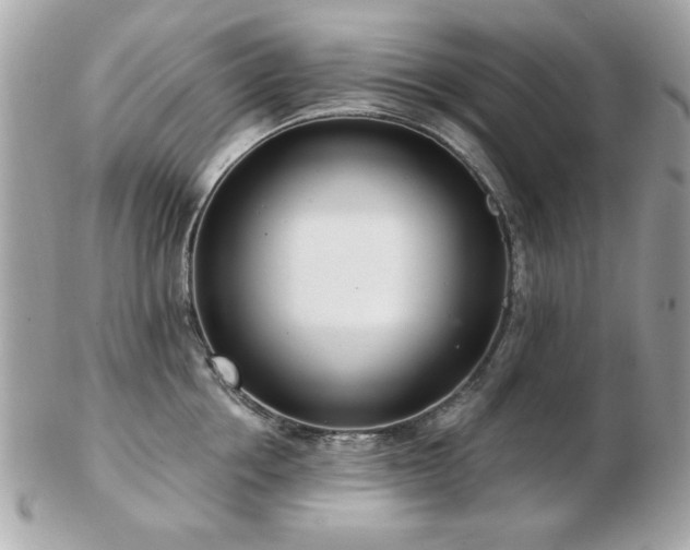 X0000103260858200808291216