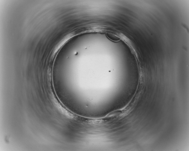 X0000103260859200808291216