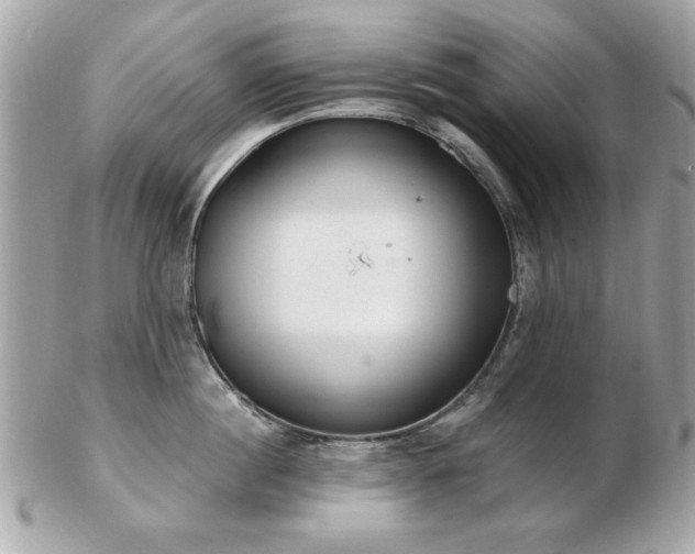 X0000103260860200808291216