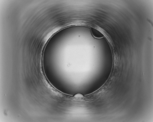 X0000103260861200808291216