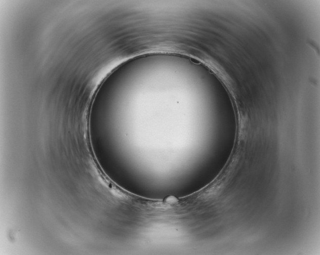 X0000103260862200808291216