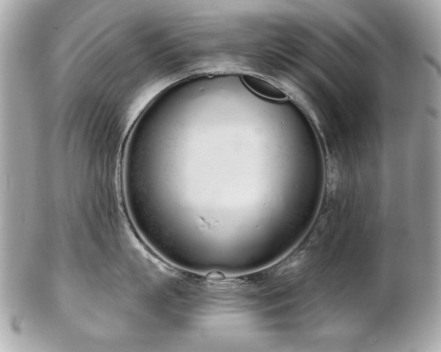 X0000103260863200808291216