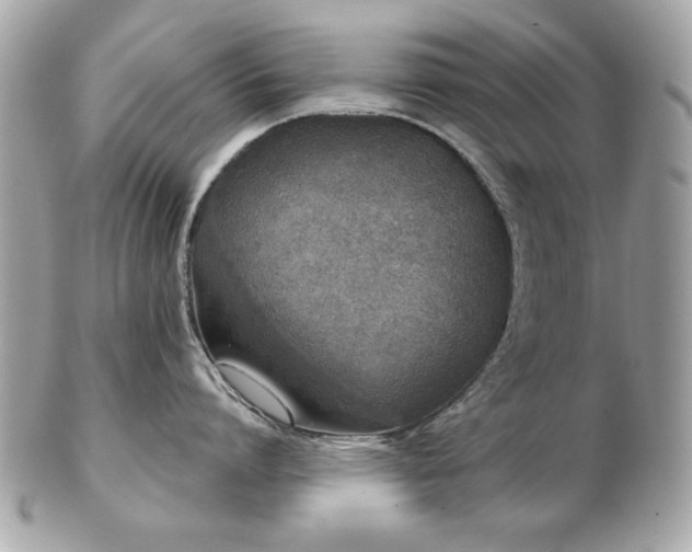 X0000103260864200808291216