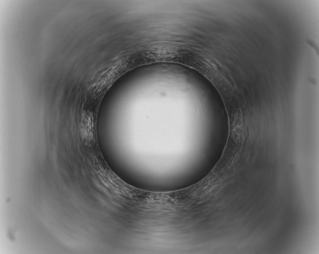 X0000103260866200808291216