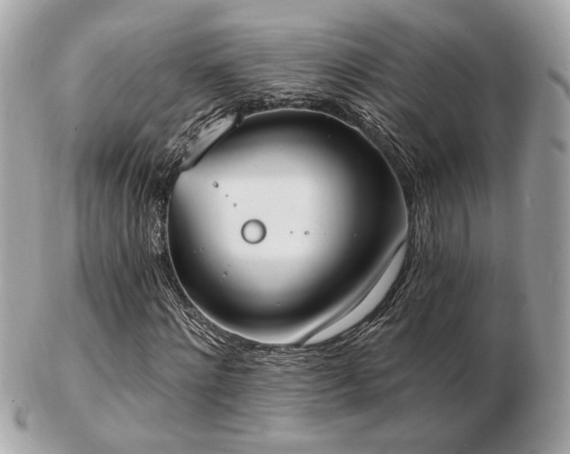 X0000103260868200808291216