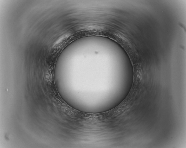 X0000103260869200808291216