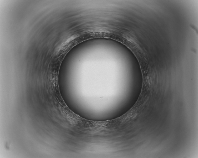 X0000103260870200808291216