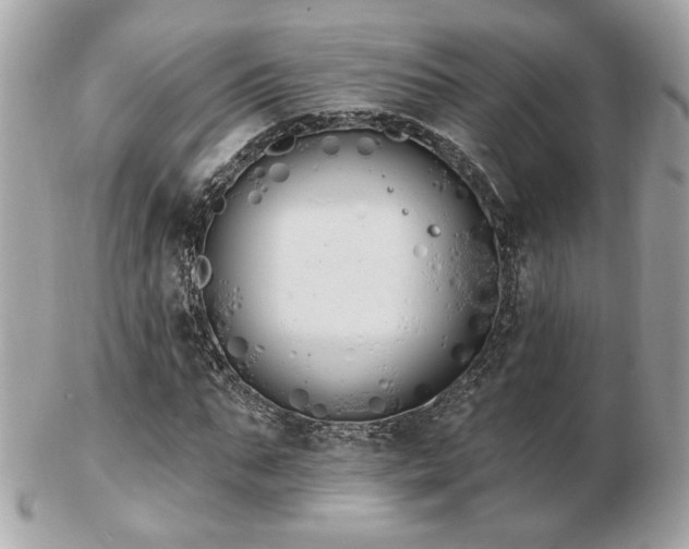 X0000103260871200808291216