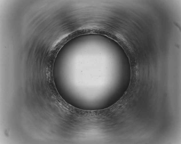 X0000103260872200808291216