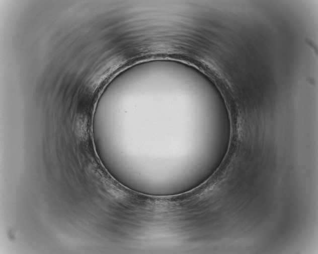 X0000103260873200808291216