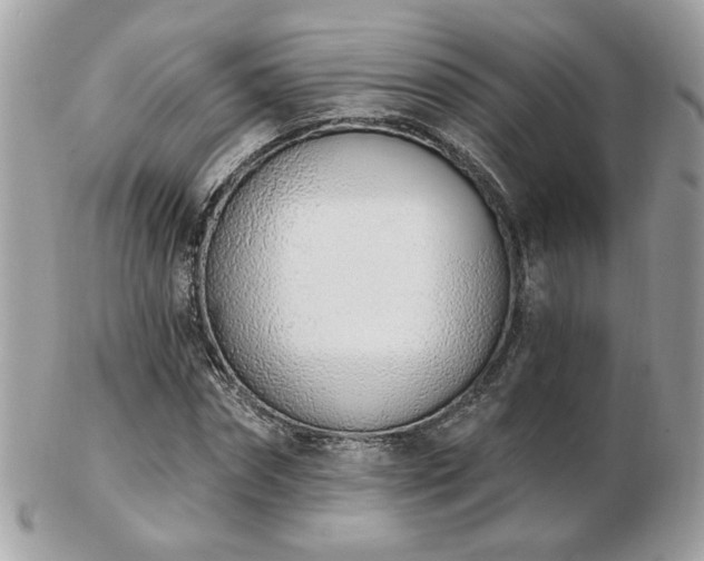 X0000103260874200808291215