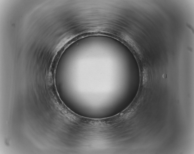 X0000103260876200808291215