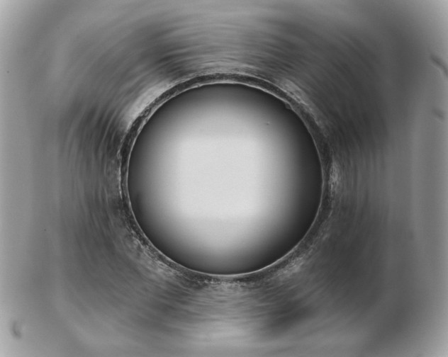 X0000103260877200808291215