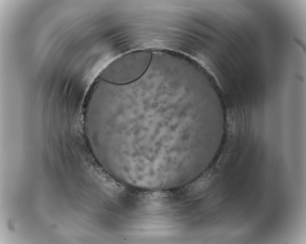 X0000103260879200808291215