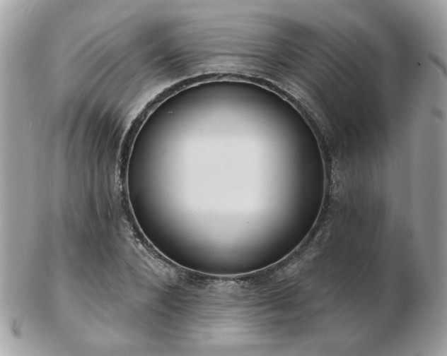 X0000103260880200808291215