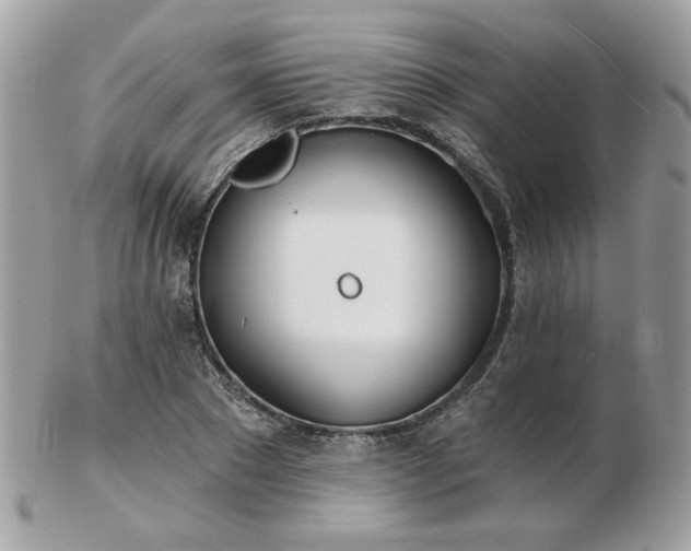 X0000103260881200808291215