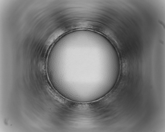 X0000103260882200808291215