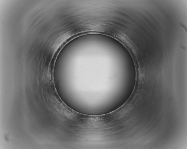 X0000103260883200808291215